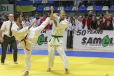 Martial Arts - Karate Championship - 30/11/2014