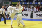 Martial Arts - Karate Championship - 30/11/2014