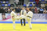 Martial Arts - Karate Championship - 30/11/2014