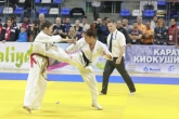 Martial Arts - Karate Championship - 30/11/2014
