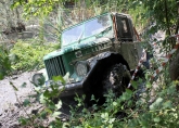 Автомобилизъм -