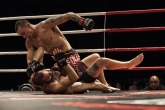 ММА МУАЙ ТАЙ - Abu Dhabi Warriors - 24.09.2016