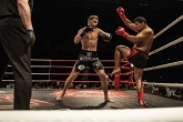 ММА МУАЙ ТАЙ - Abu Dhabi Warriors - 24.09.2016