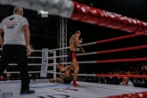 Muay Thai Grand Prix България - победи за Антон Петров и Дани Илиев - 02.11.2018