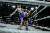 ММА и К1 GRAND FIGHT ARENA - 01.12.2018