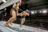 К1 и ММА - Grand Fight Arena 2 - 29.03.2019
