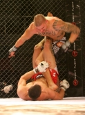 ММА - 4-то издание на TWINS MMA - София - 06.02.2014